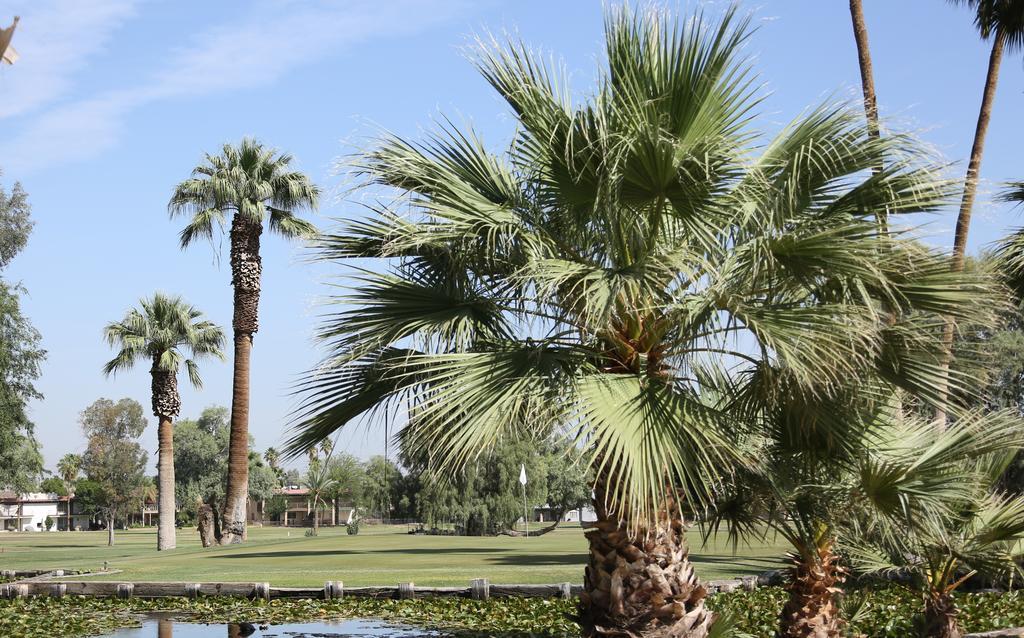 Barbara Worth Golf Resort Holtville Экстерьер фото